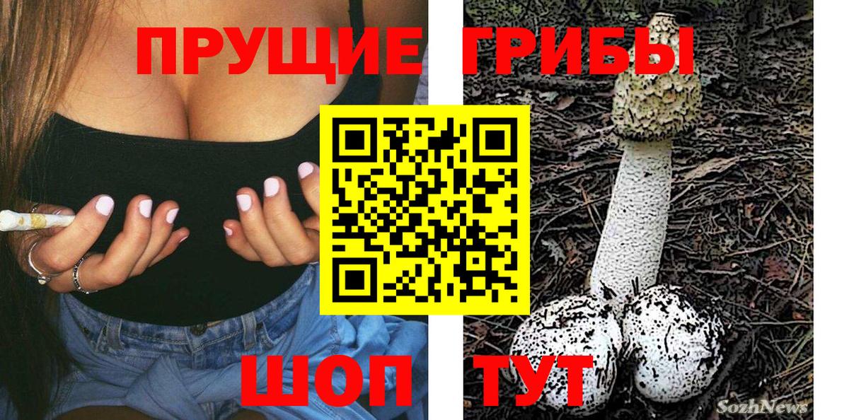Псилоцибиновые грибы Magic Shrooms  Вход с VPN  Псилоцибиновые грибы прущие грибы  Киржач 